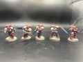 Blood Angels Siege of Baal Strike Team